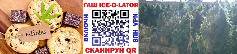 Еда ТГК конопля  Купить  Горячий Ключ 