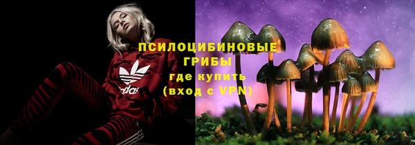 марки lsd Каменногорск