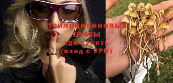 не бодяженный Каменка