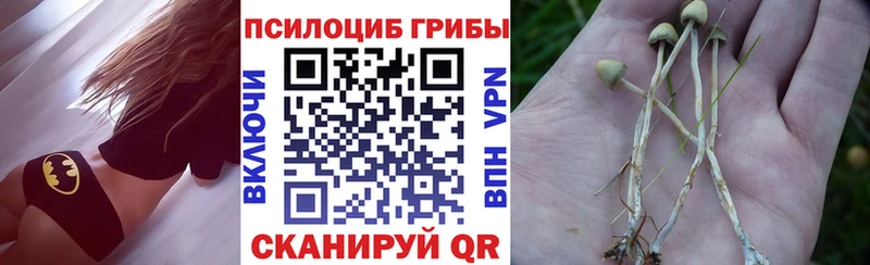 Псилоцибиновые грибы мицелий  Купить где  Горячий Ключ 